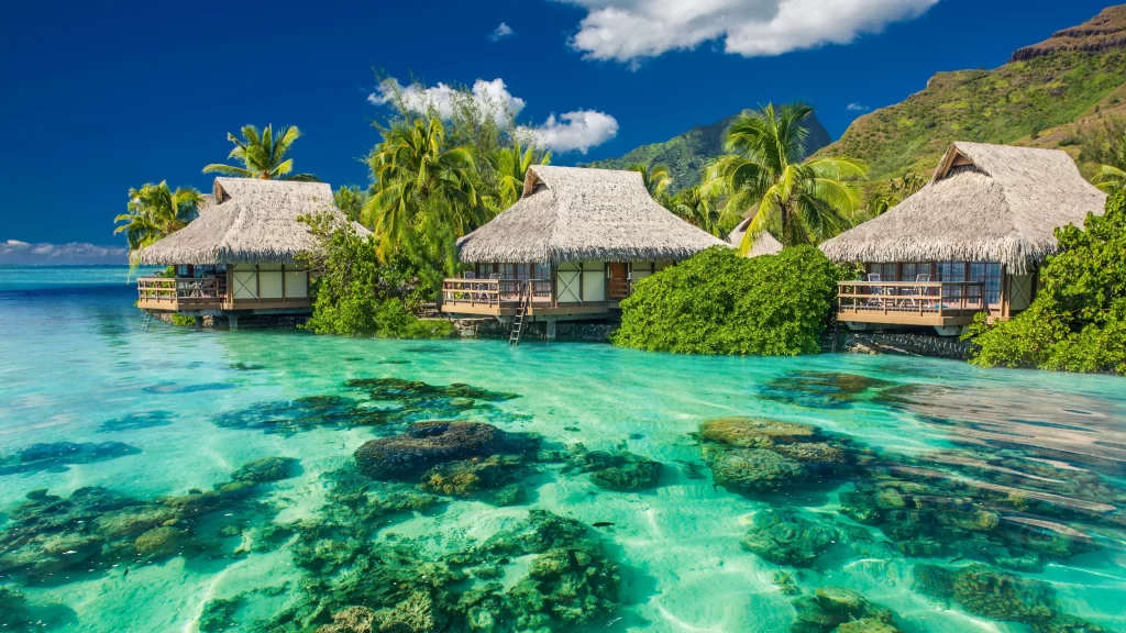 ocean bungalows tropical palm trees clear water mountains