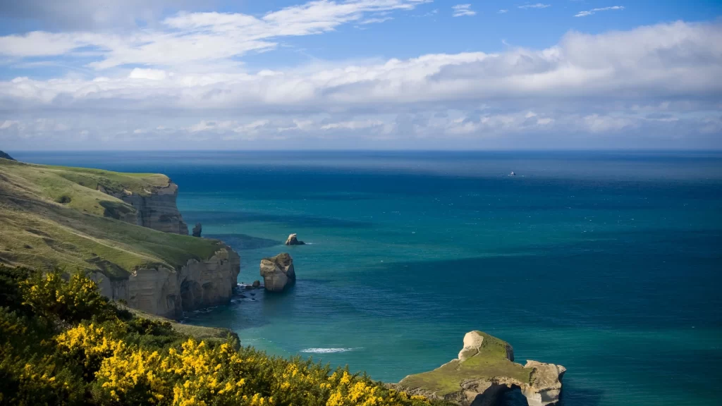 ocean cliffs coastline flowers sky