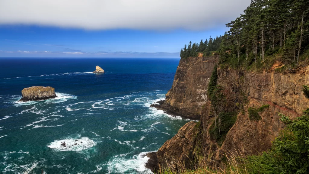 ocean cliffs waves trees rocky