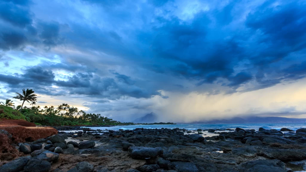 Ocean Storm Clouds Rain Palm Trees Rocks