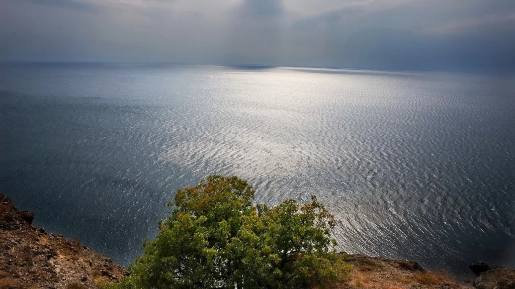 ocean tree sky clouds sunlight horizon
