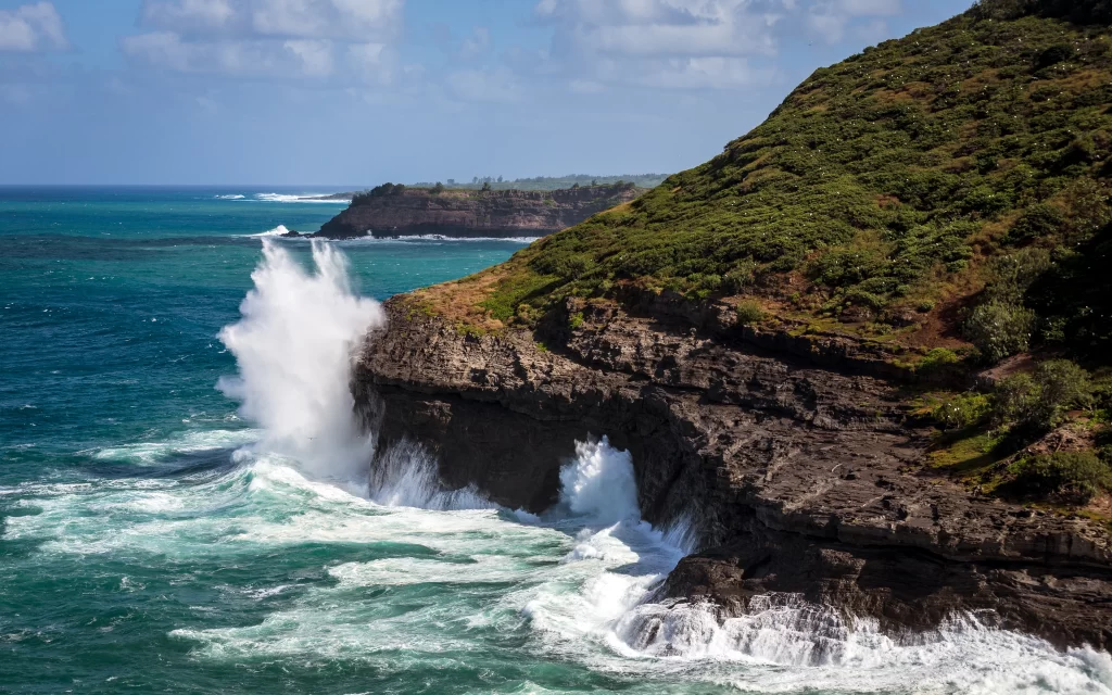 ocean waves cliff coastline greenery