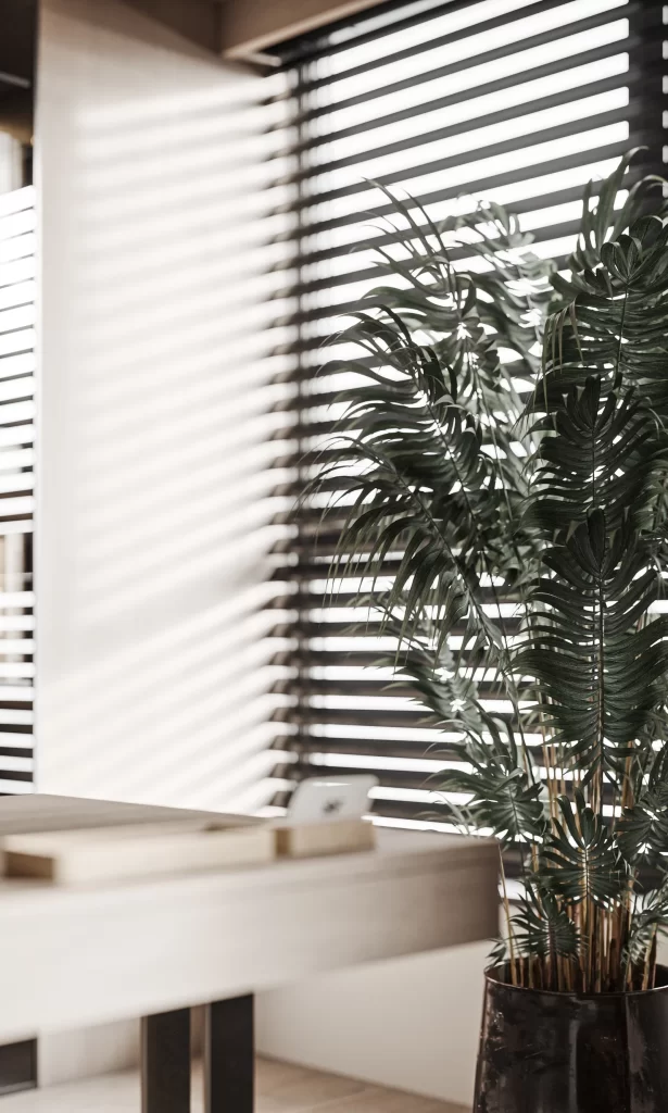Office Space Neutral Tones Modern Desk Plant Natural Light
