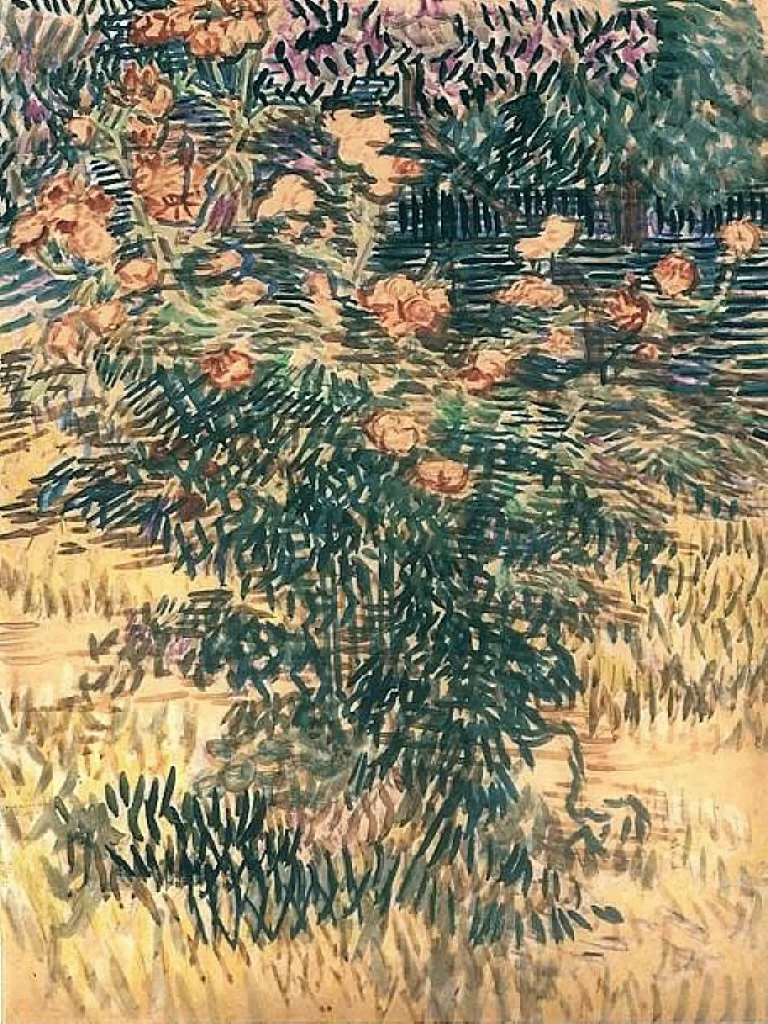 Oleanders the Hospital Garden at Saint-Remy Van Gogh
