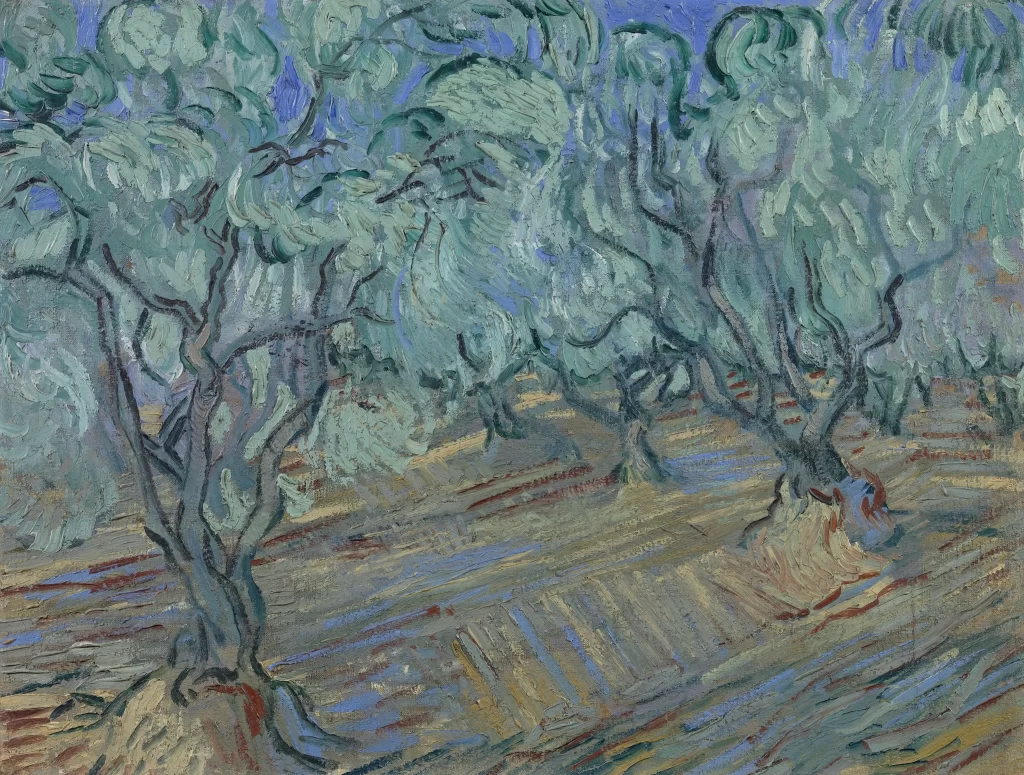 Olive Grove with Blue Sky Van Gogh