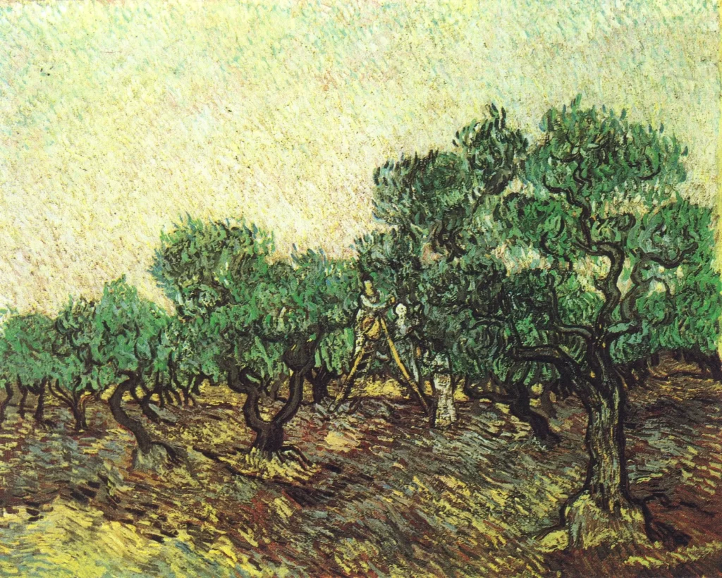 Olive Picking Van Gogh