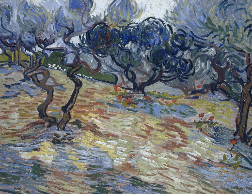 Olive Trees Bright Blue Sky Van Gogh