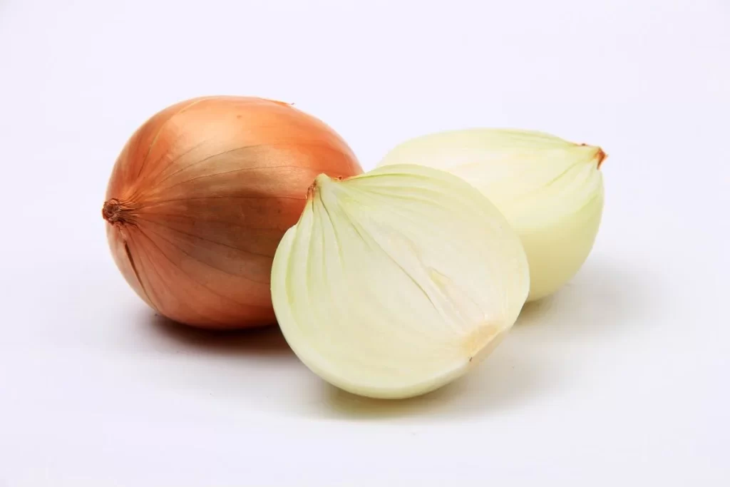 Onion Brown Layered