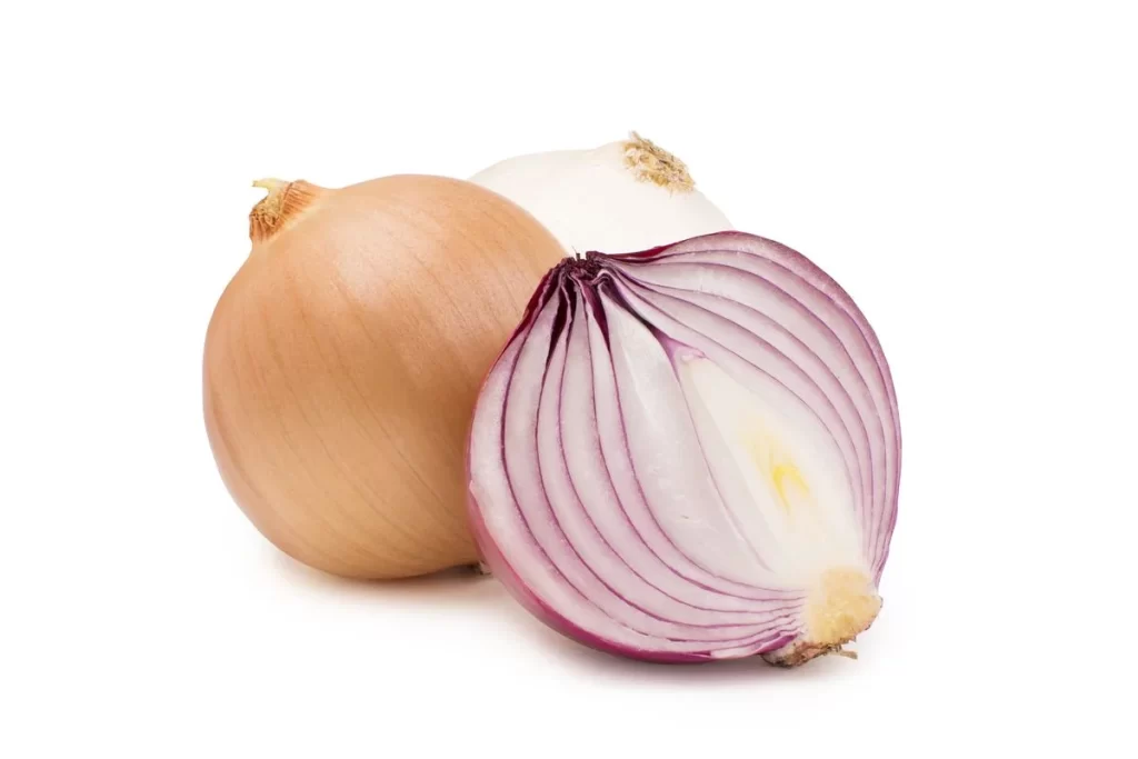 Onion Brown Layered Purple
