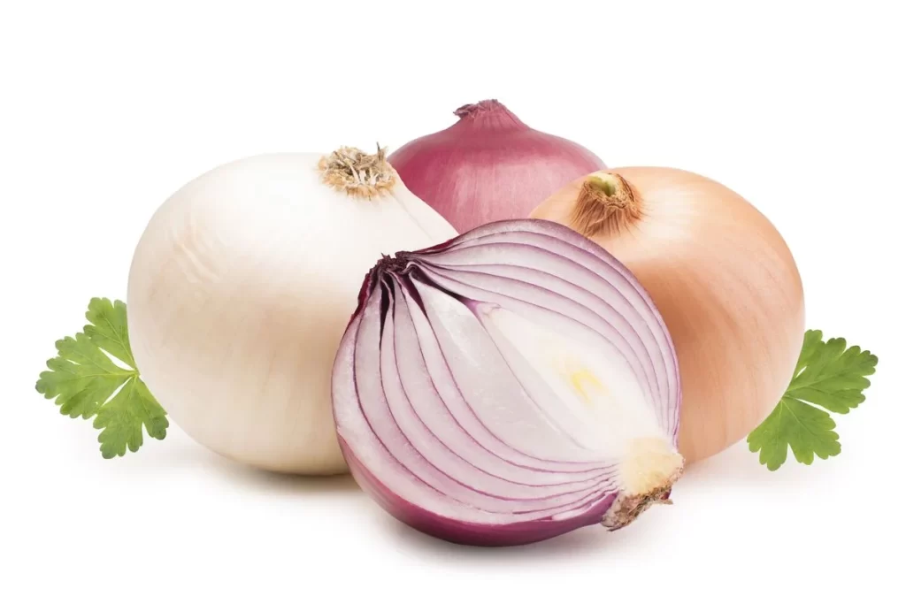 Onion White Red Yellow Layered