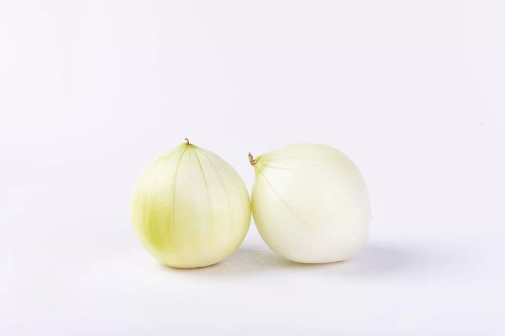 Onion White Round Bulb