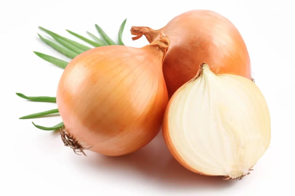 Onion Yellow Layered Fresh