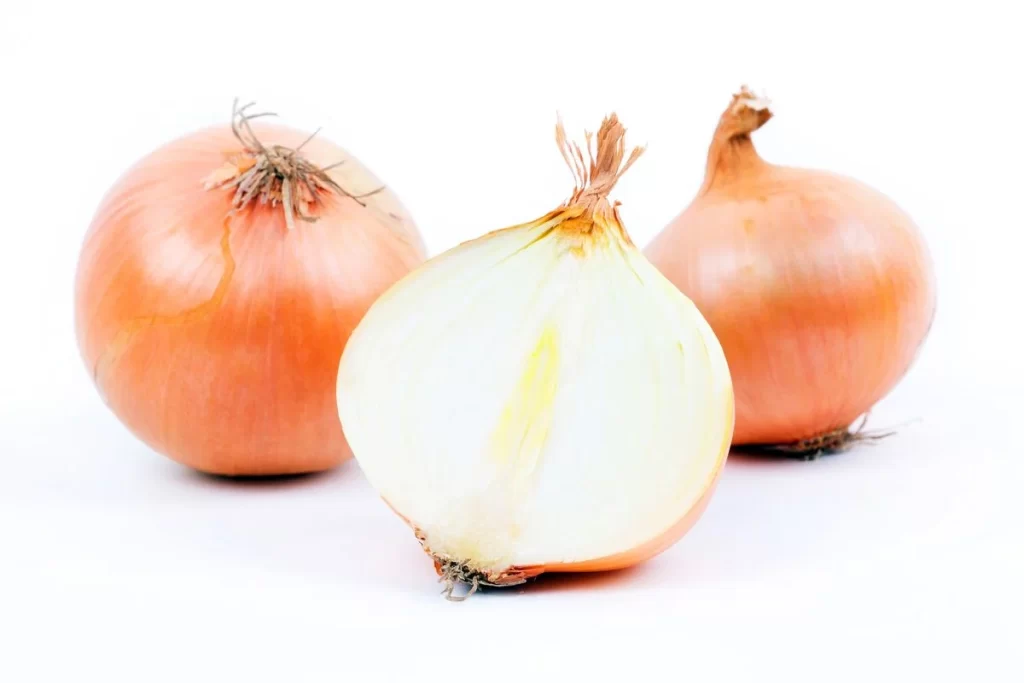 Onion Yellow Layered Fresh