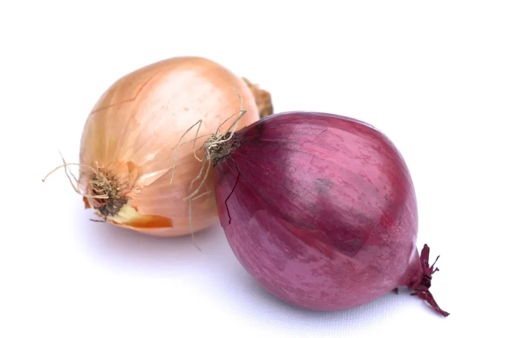Onion Yellow Onion Red Onion