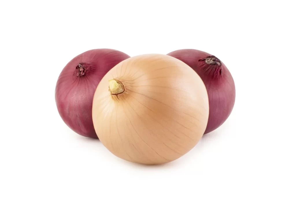 Onion Yellow Round Smooth