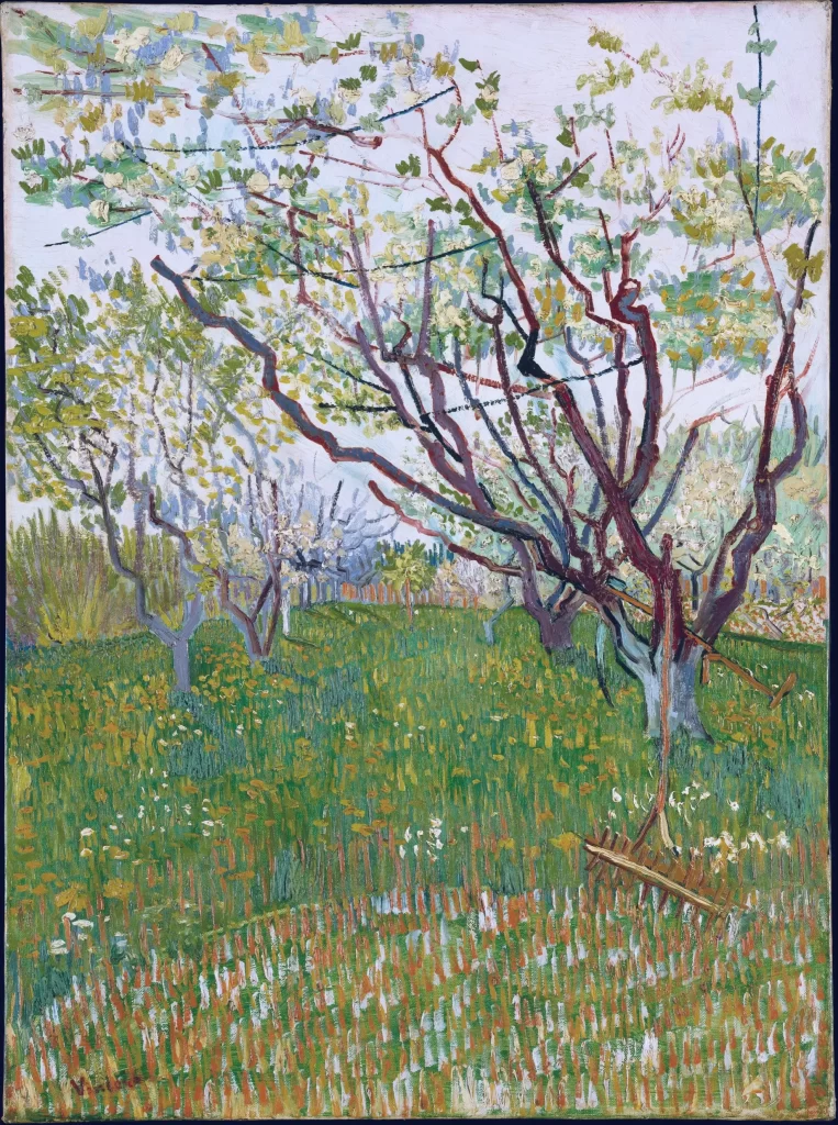 Orchard in Bloom Van Gogh