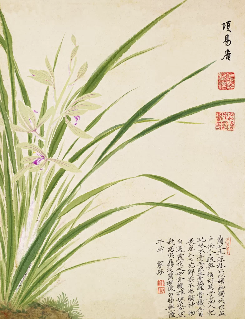 Orchid Fern Moss Earth Mound Xiang Shengmo