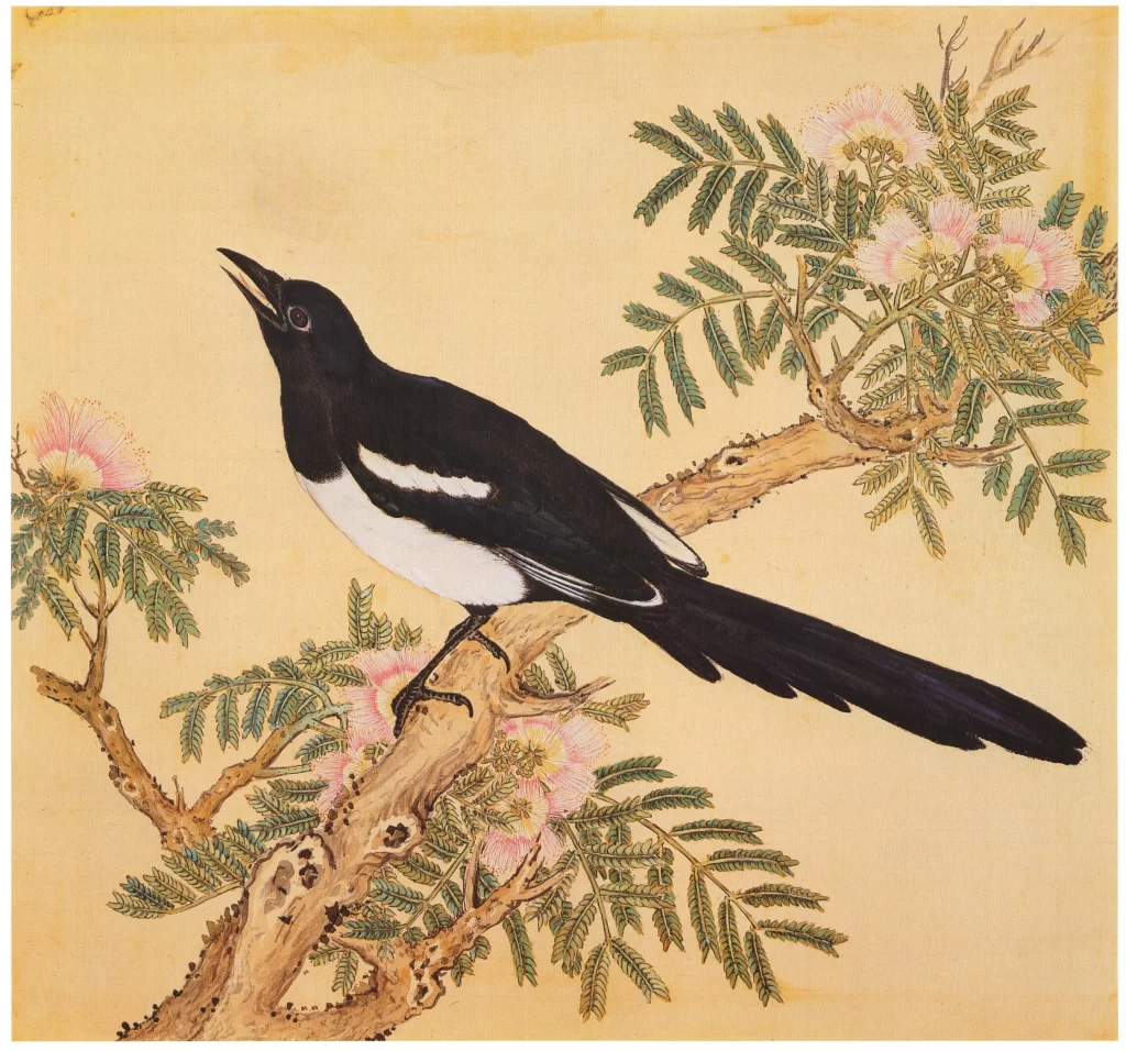 Oriole Bird Willow Branch Spring Yu Sheng