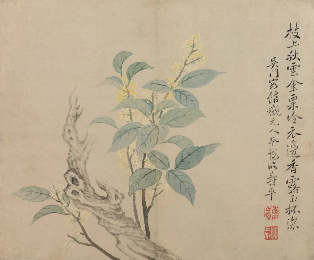 Osmanthus Blossom Yun Shouping