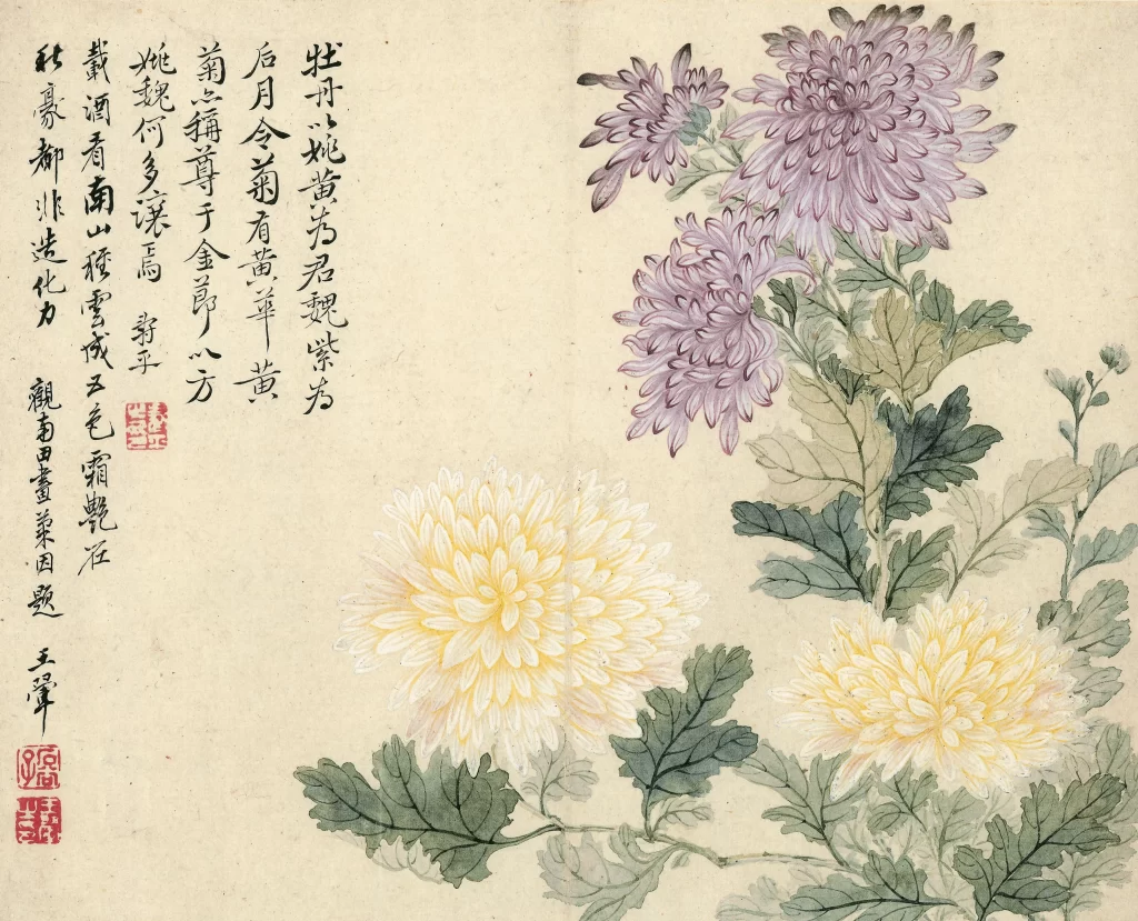 Ouxiang Studio Chrysanthemum Yun Shouping