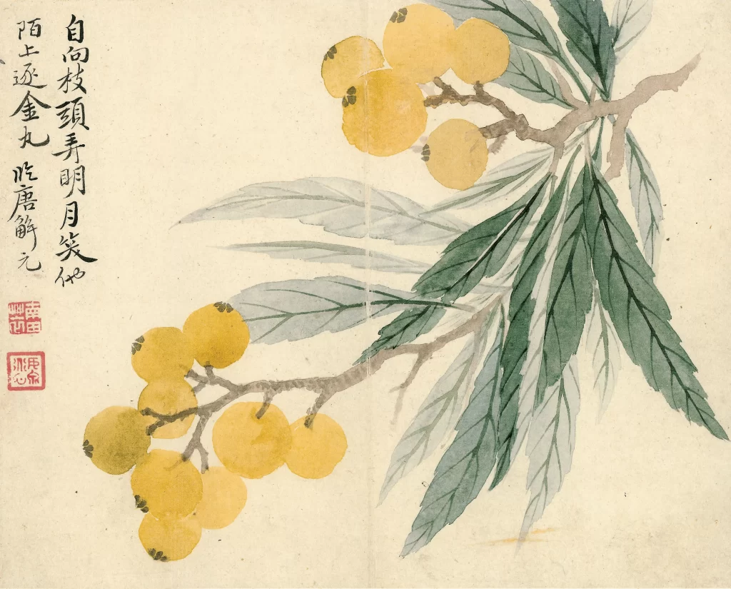Ouxiang Studio Loquat Yun Shouping