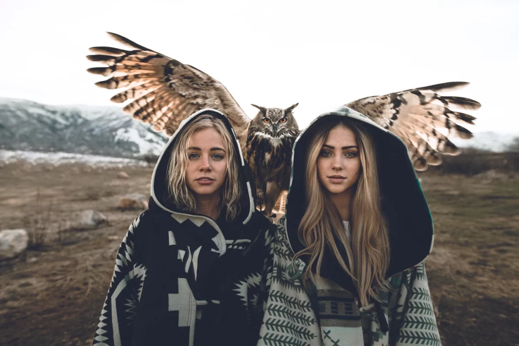 owl hooded nature mountains patterned companions