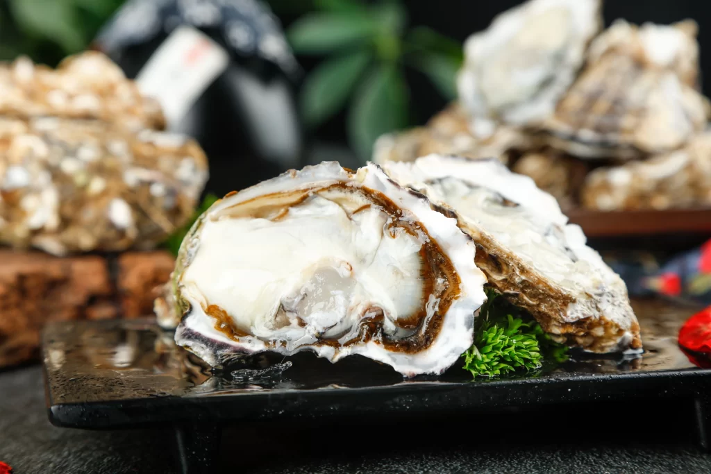 Oysters Open Shell White Creamy Seafood Fresh