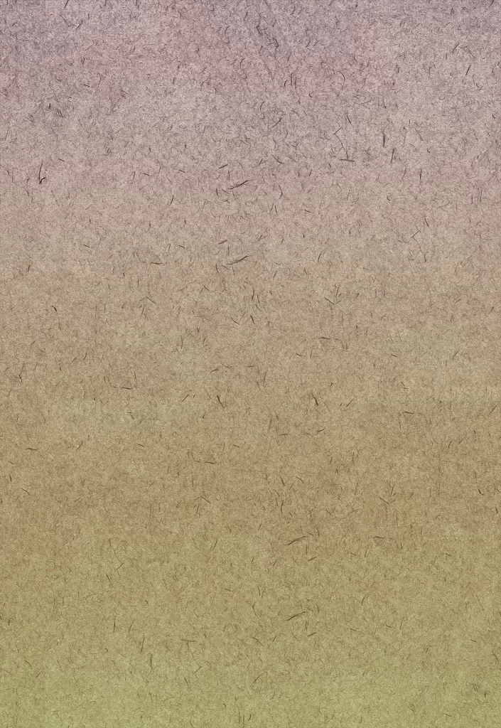 Paper Texture Fiber Gradient Organic