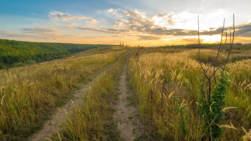 path grass sunset sky clouds nature