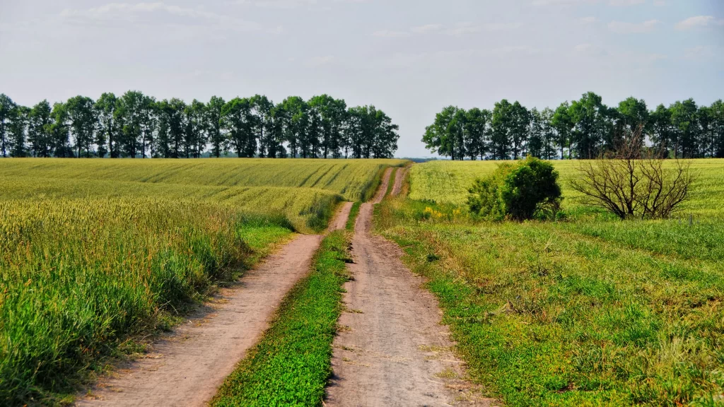 pathway rural greenery trees sky tranquility
