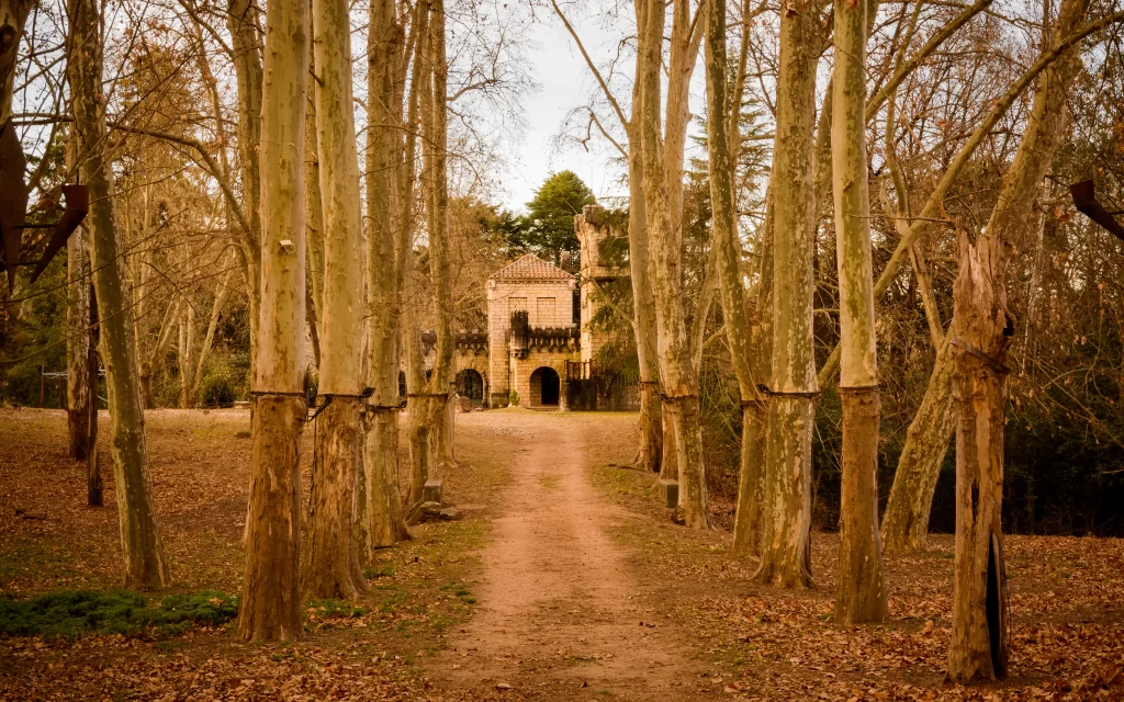 pathway trees autumn leaves castle nature