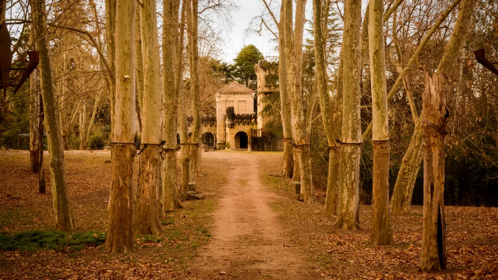Pathway Trees Autumn Leaves Castle Serene