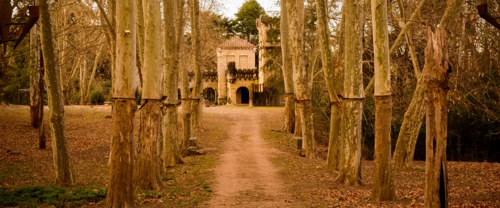 pathway trees castle autumn leaves serene
