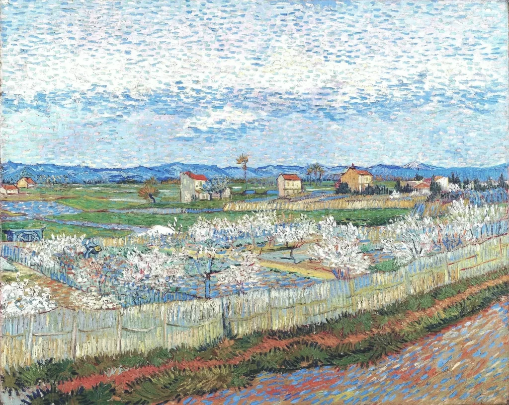 Peach Blossom in Le Trebon Van Gogh