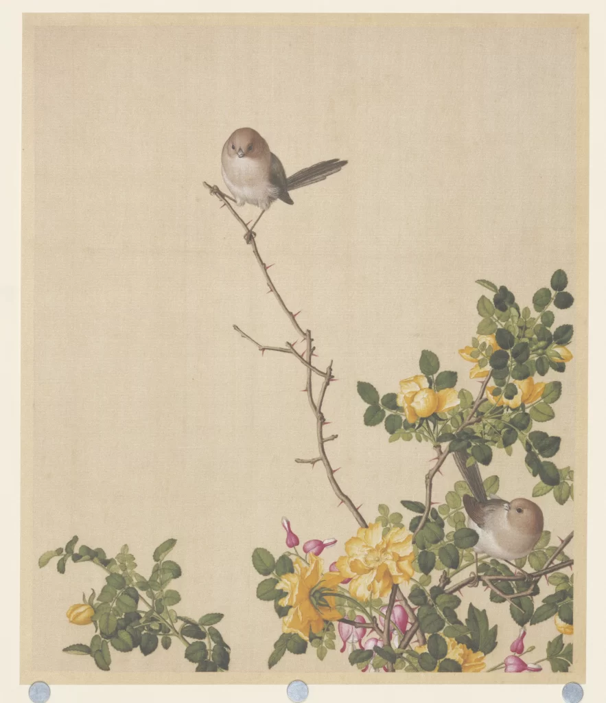 Peach Blossom Magpie Castiglione