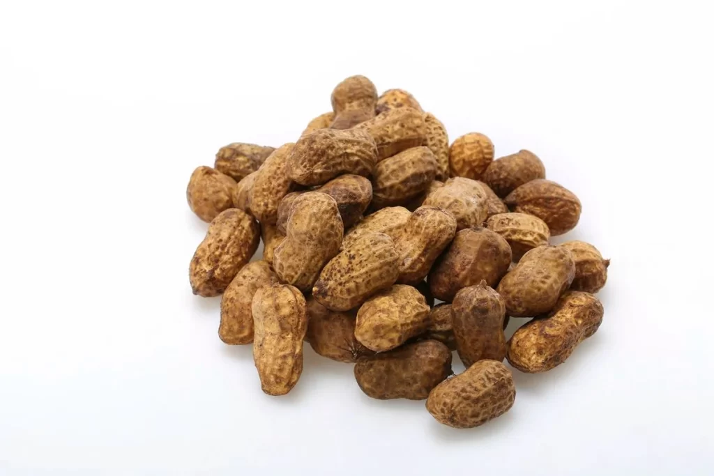 Peanuts Brown Shell Rough