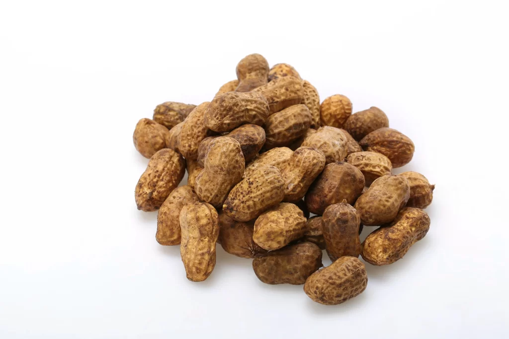 Peanuts Brown Shell Textured