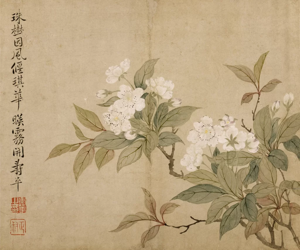 Pear Blossom Yun Shouping