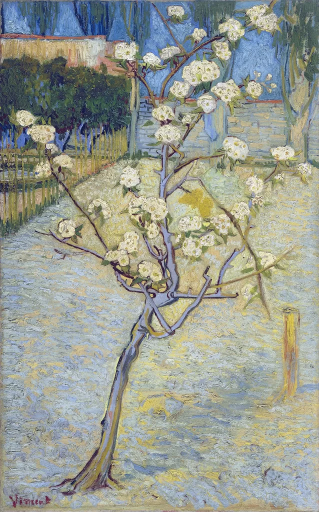 Pear Tree in Blossom Van Gogh