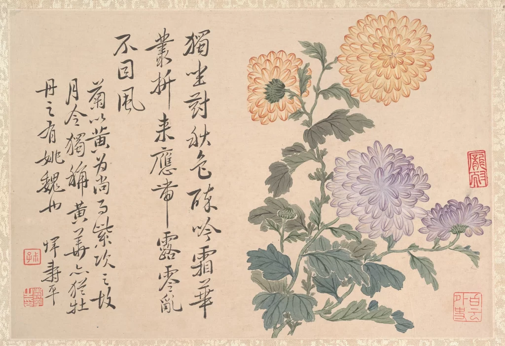 Peony Album Yun Shouping
