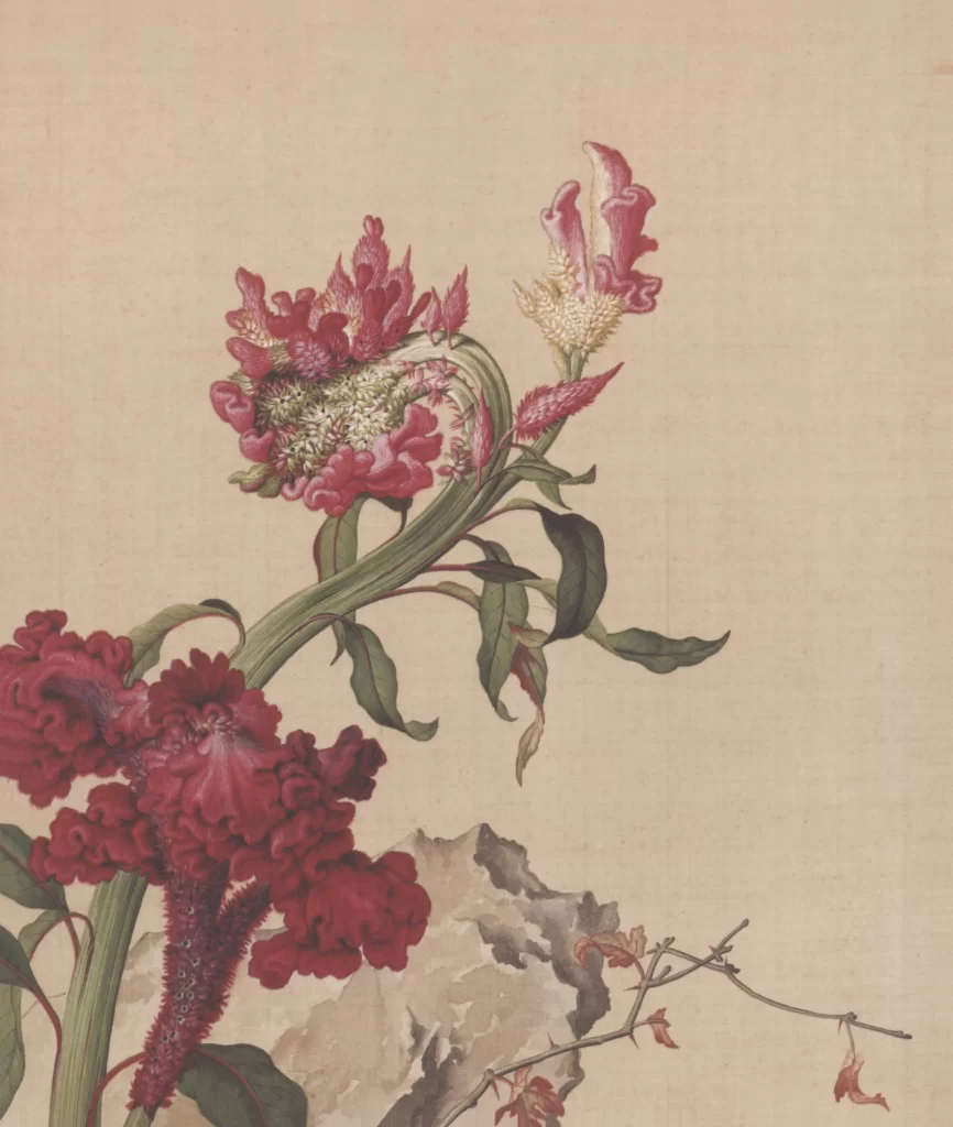 Peony Blossoms Castiglione