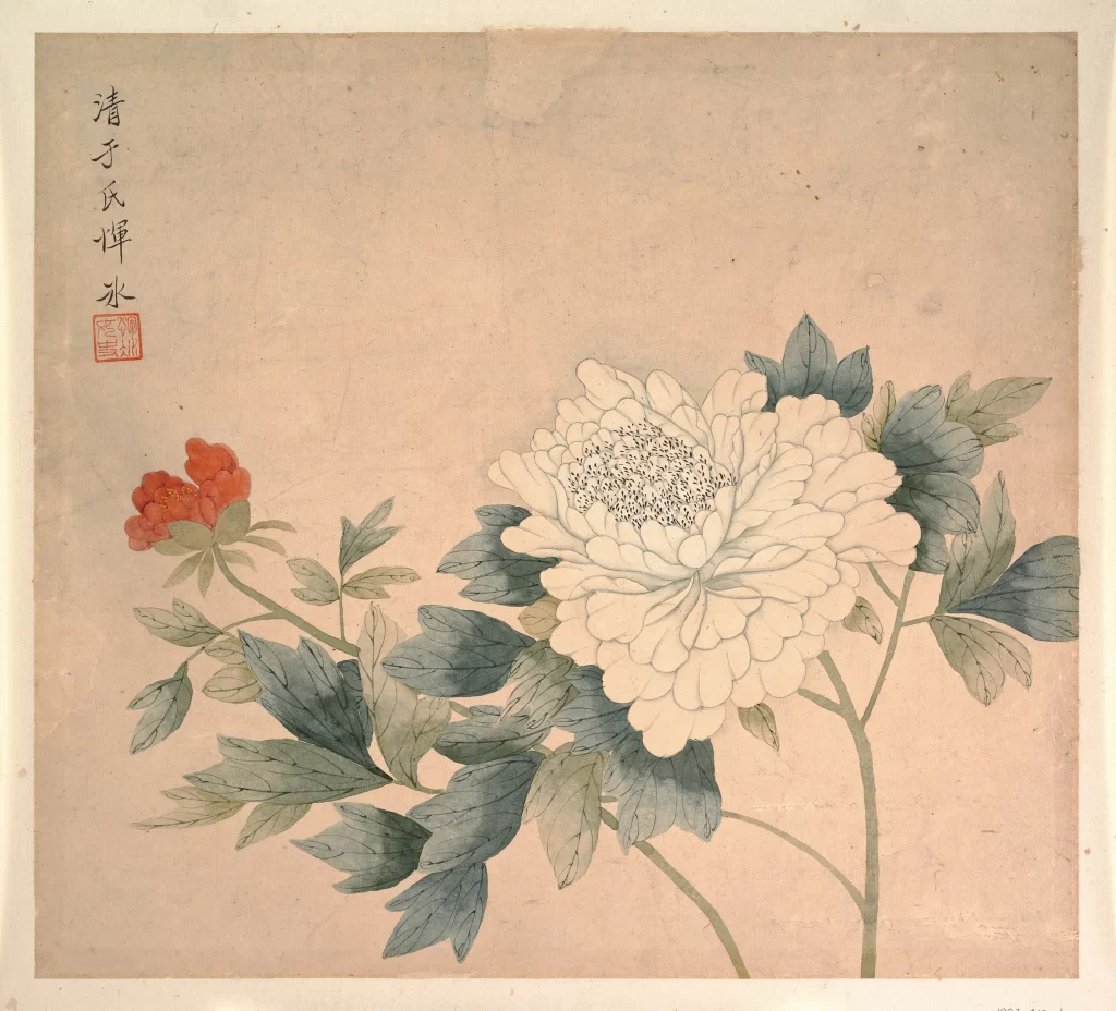 Peony Painting Yun Shouping