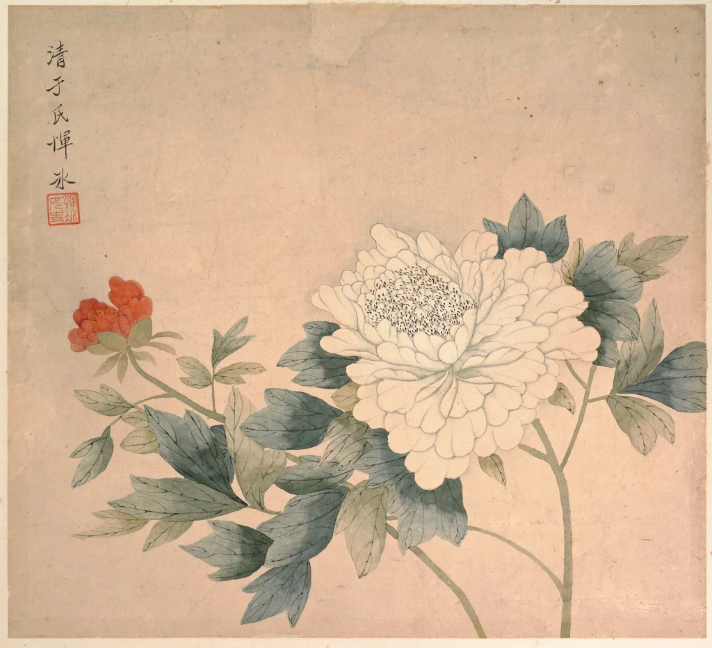 Peony Painting Yun Shouping
