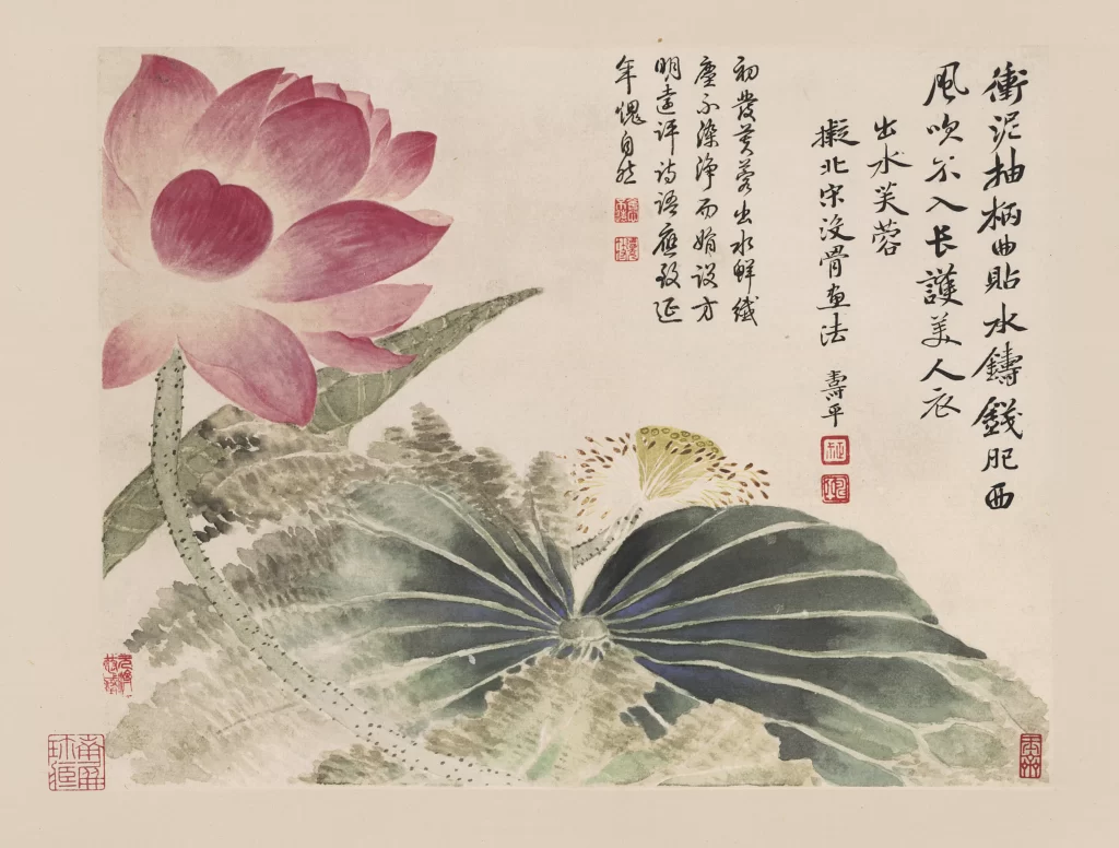 Pink Lotus Seed Pod Yun Shouping