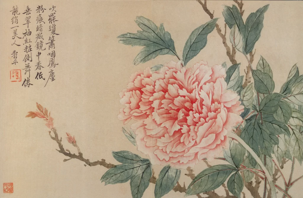 Pink Peony Yun Shouping