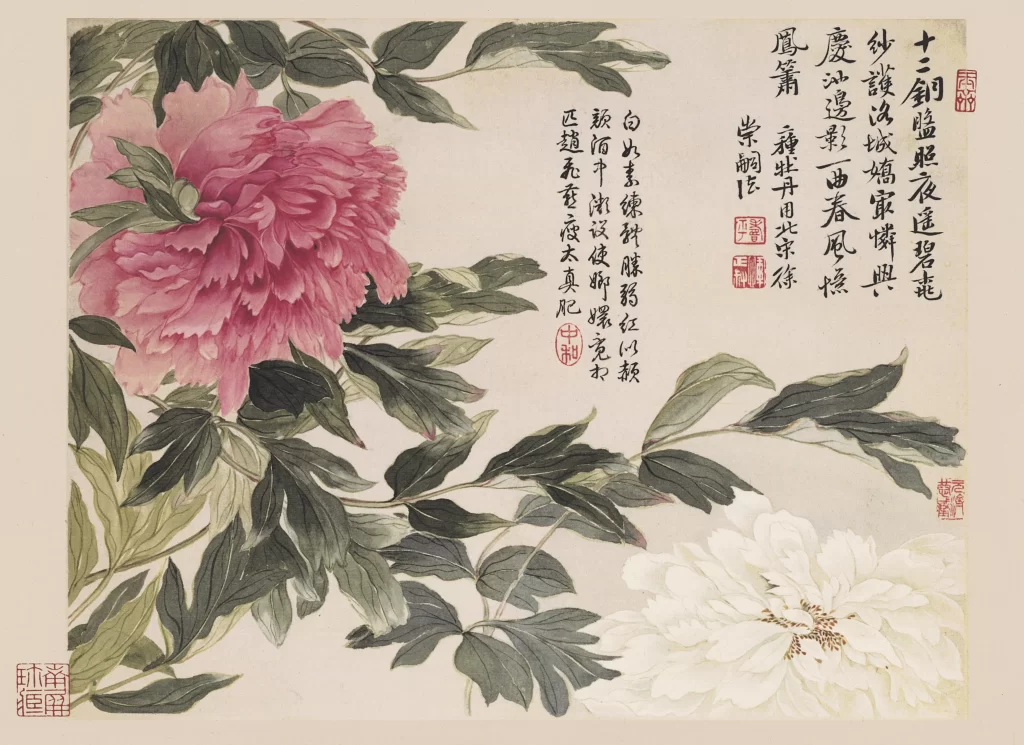 Pink White Peony Yun Shouping