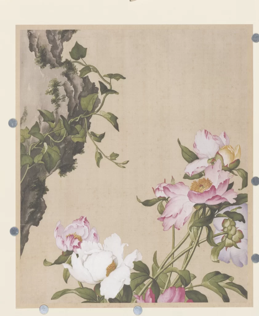 Plum Blossom Bird Castiglione