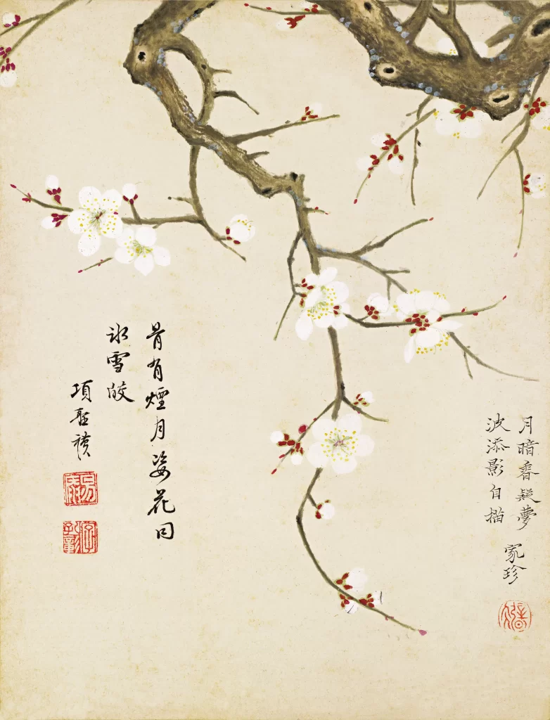 Plum Blossom Gnarled Branch White Petals Xiang Shengmo