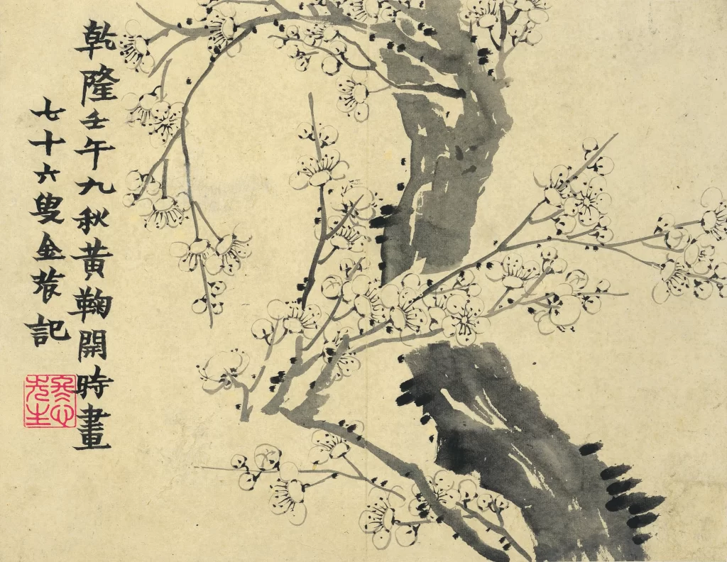 Plum Blossom Upright Branch Dense Blooms Li Fangying