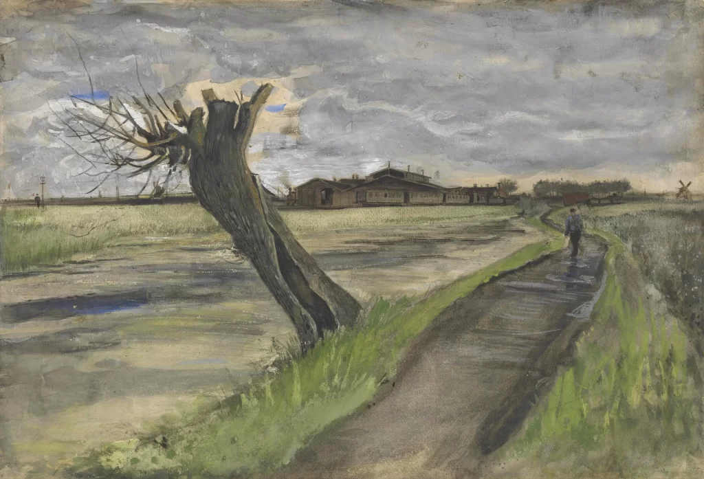 Pollard Willow Van Gogh